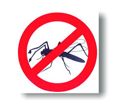 Aby komáre neštípali, stačí lacná pasca na prírodnej báze, alebo ponuka odpudzovače –  plasice.sk